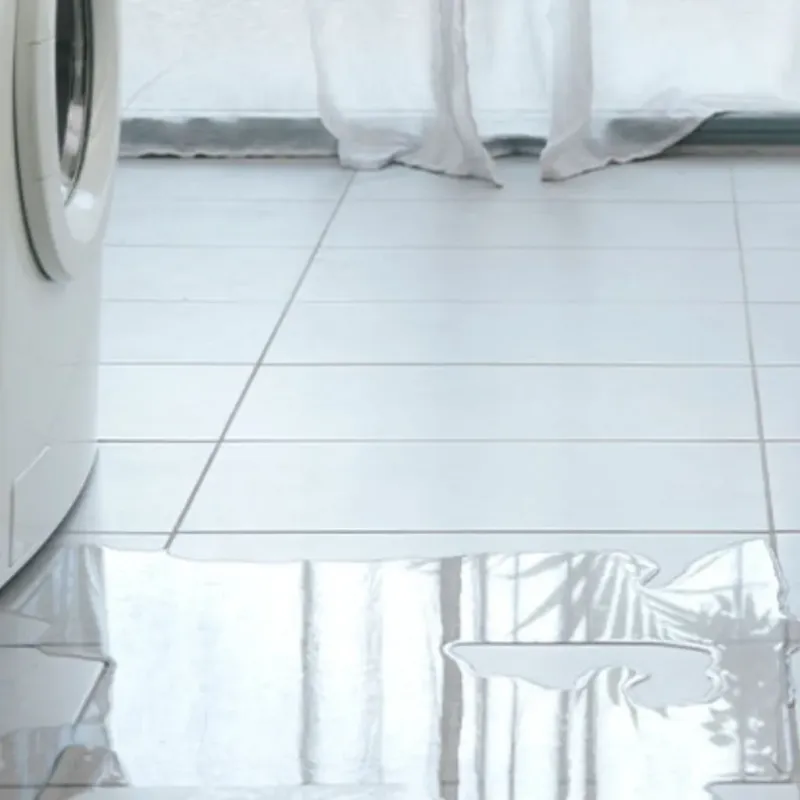 Appliance Leak Cleanup in Central City, AZ