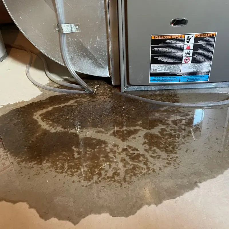 Pipe Burst and Leak Restoration in Central City, AZ